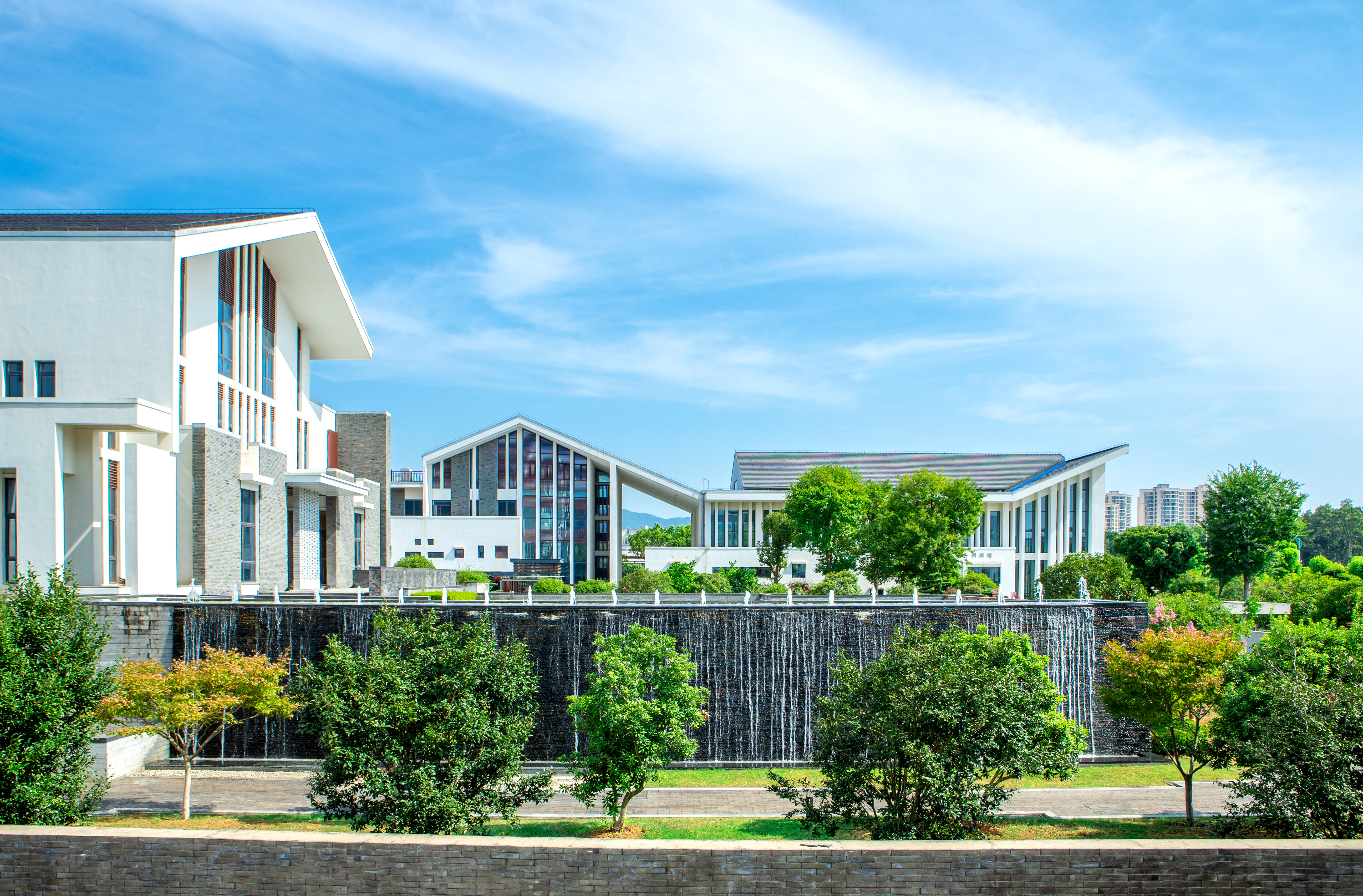 青春盡撒桃江河畔