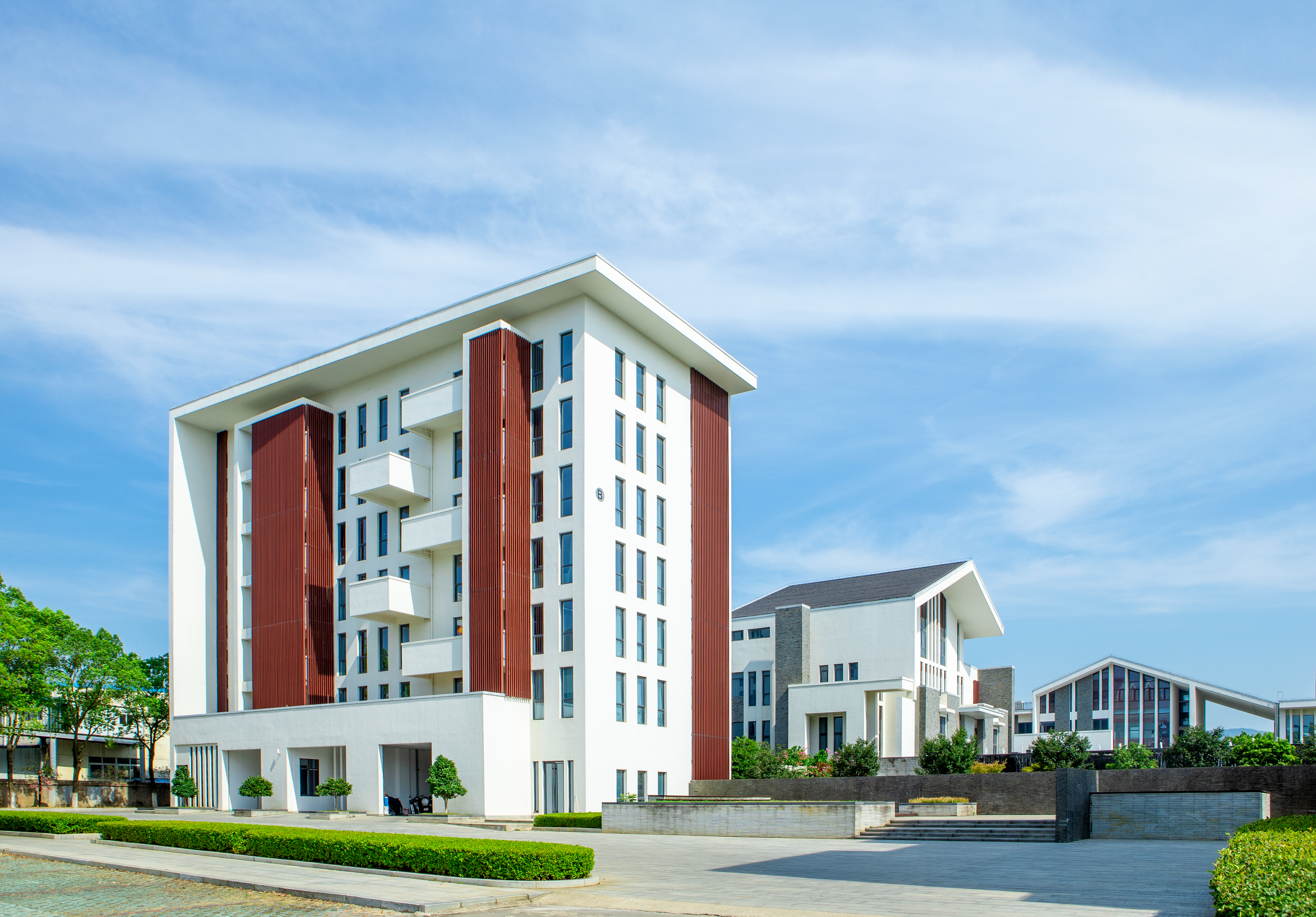 我的“發(fā)達(dá)”之路