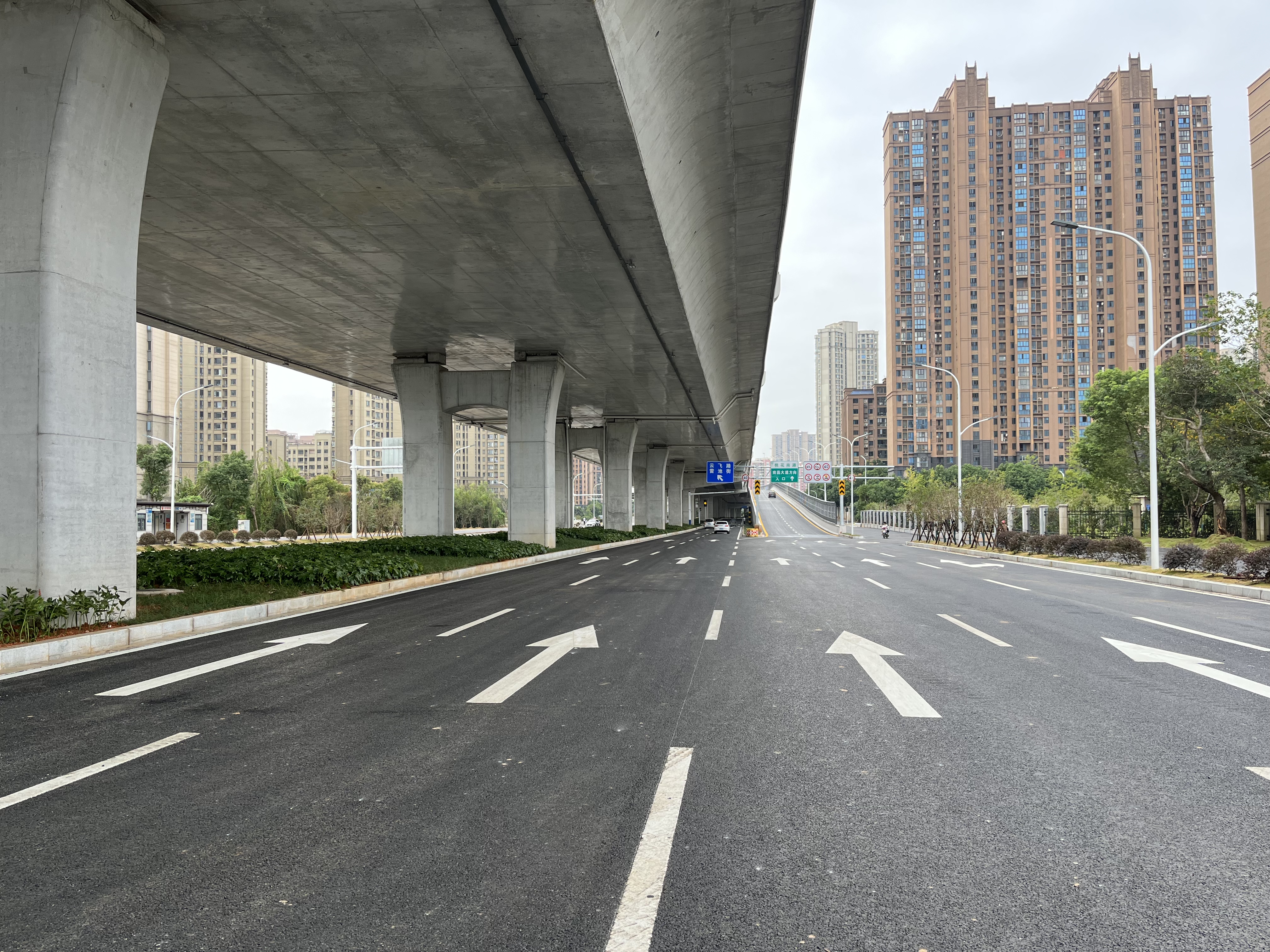 發(fā)達(dá)控股集團(tuán)承建的桃花南路快速化改造工程全線通車